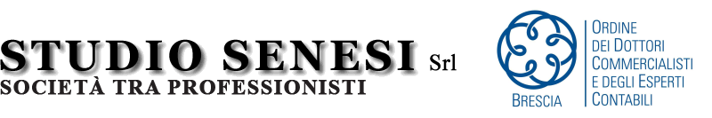 Studio Senesi Logo