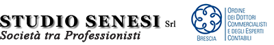 Studio Senesi Logo